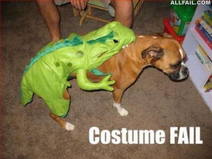 dogs costume fail