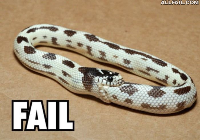 fail snake
