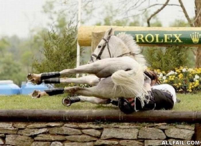 horse jump fail