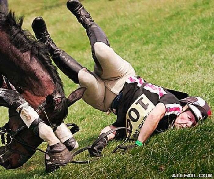 horse ride fail