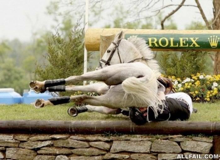 horse rider