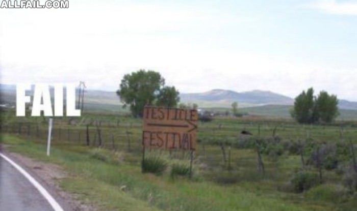 testicle festival