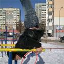 Funnyfailpics-amazing Hand Stand