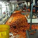 Funnyfailpics-doritos