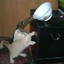 Funnyfailpics-i Made A Big Mistake